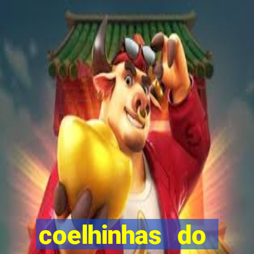 coelhinhas do brasil jp